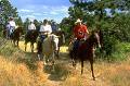 Cheyenne Trailriders