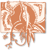 Communauté Indigène de Kuku Yalnanji