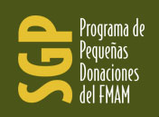 Donation Programd of Pequenas of PNUD
