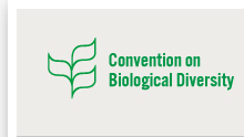 Arctic Workshop : Convention on Biological Diversity