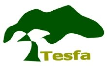 Community Tourism in the Ethiopian Highlands