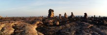Huit Huit Tours, Alariaq Family